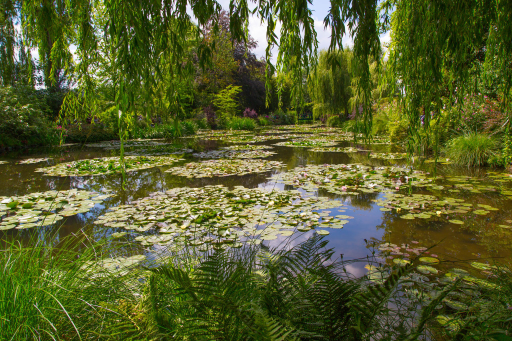 One could not go to Monet's garden without creating some art in homage to the gent. Here is the original photo of Monet's pond...