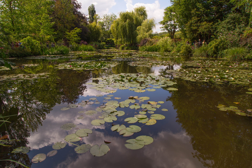 Monet's Water Lilies pond.