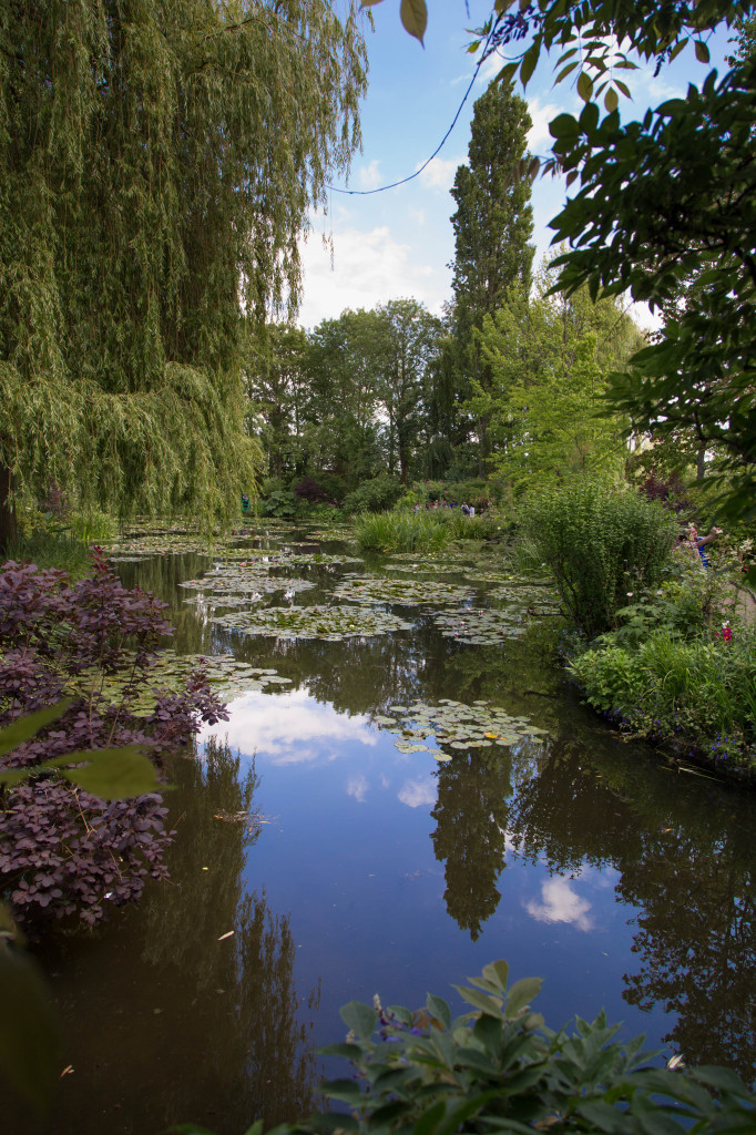 The pond in Monet's garden.