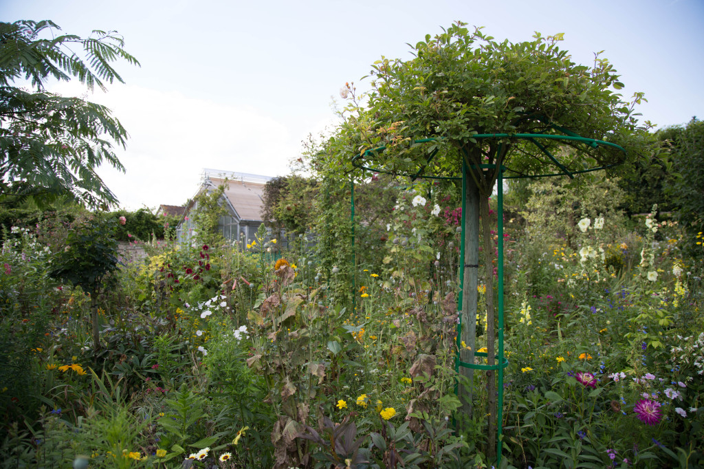 The garden behind Monet's home.