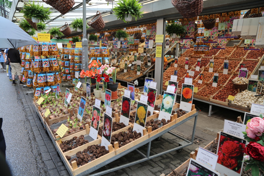 Scene from the Flower Market.