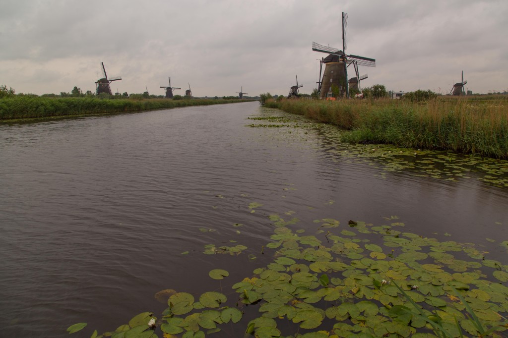 Mills at Kinderdijk.